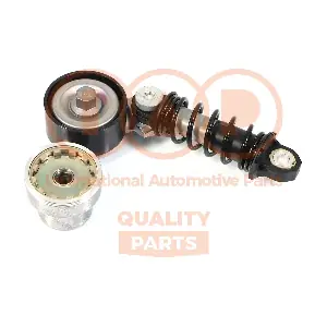 IAP QUALITY PARTS 127-21025 Відвідний/напрямний ролик, поліклиновий ремінь