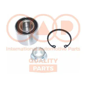 IAP QUALITY PARTS 409-13161K
