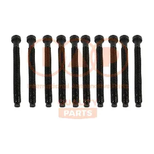 IAP QUALITY PARTS 119-50060