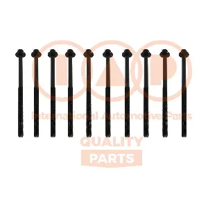 IAP QUALITY PARTS 119-10073