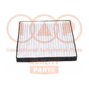 IAP QUALITY PARTS 821-17000C