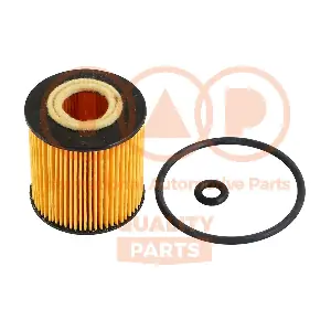 IAP QUALITY PARTS 123-00100
