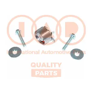 IAP QUALITY PARTS 12713094