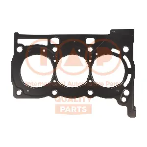IAP QUALITY PARTS 118-17008