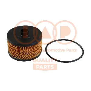 IAP QUALITY PARTS 123-13111