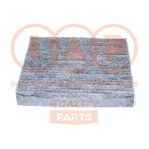 IAP QUALITY PARTS 821-17003C