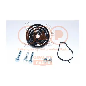 IAP QUALITY PARTS 150-17006E