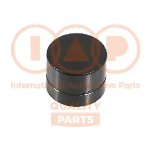 IAP QUALITY PARTS 125-50032