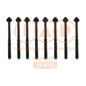 119-51001 IAP QUALITY PARTS
