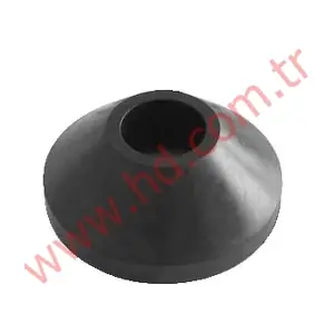 HD 19004 HD
