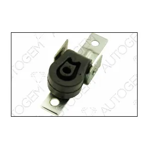 CSM309 AUTOGEM