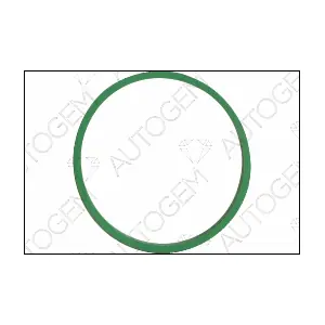 AUTOGEM CSM7809