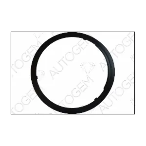 AUTOGEM CEG9572