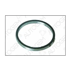 AUTOGEM CEG6404