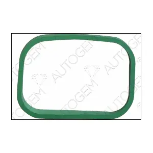 CSM984 AUTOGEM