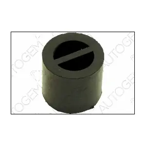 AUTOGEM SM46