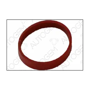 CSM4510 AUTOGEM