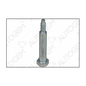 EMS60 AUTOGEM