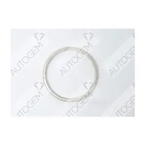 CEG60217 AUTOGEM