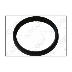 CSM7807 AUTOGEM