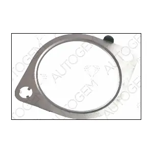 CEG9308 AUTOGEM