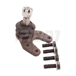 44597 SPIDAN CHASSIS PARTS
