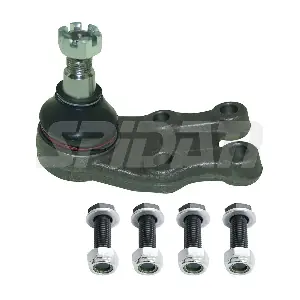 44053 SPIDAN CHASSIS PARTS