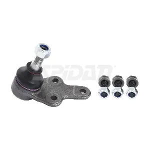 57666 SPIDAN CHASSIS PARTS