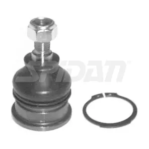 44566 SPIDAN CHASSIS PARTS