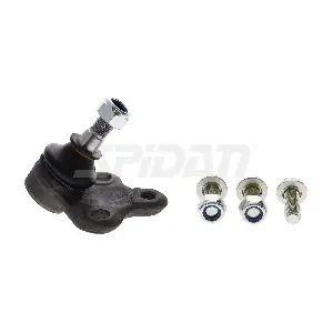 44779 SPIDAN CHASSIS PARTS