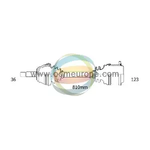 EST-18-212420 4X4 ESTANFI