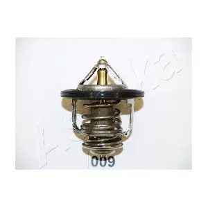 EST-22-009 4X4 ESTANFI