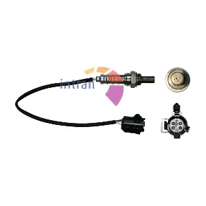 Intran Flotamex SD11161