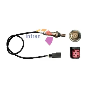 Intran Flotamex SD11089