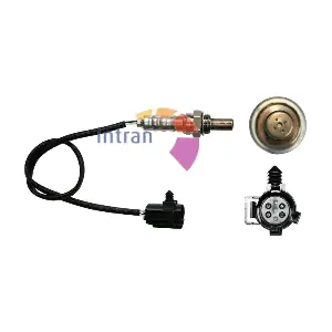 Intran Flotamex SD11144