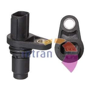 SD22382 Intran Flotamex