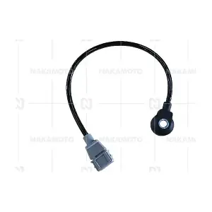 K41-CHV-18080006 NAKAMOTO