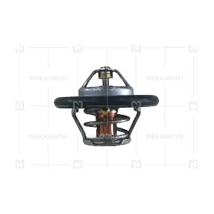 MN176384 SMART