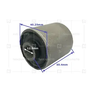 D01-AUD-18010049 NAKAMOTO