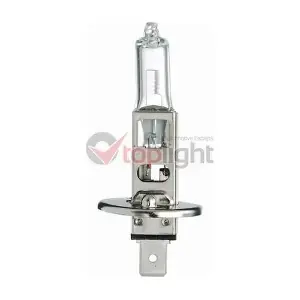 39008 AE TOPLIGHT