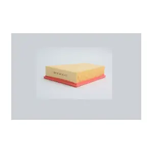 STEP FILTERS AE21680