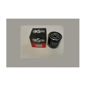 STEP FILTERS HC33301
