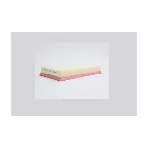 STEP FILTERS AE422