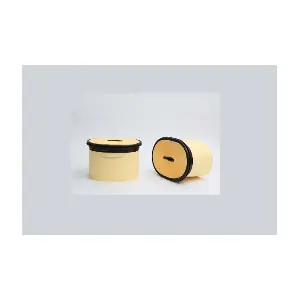 AE43452 STEP FILTERS
