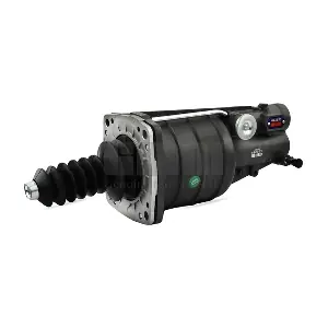 CS3289 GMW