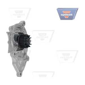 WP1175 OPTIBELT