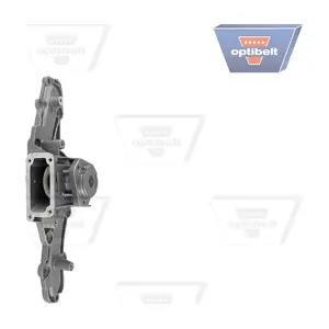 WP1198 OPTIBELT