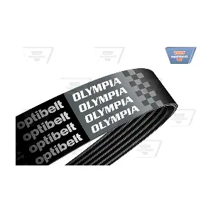 OPTIBELT 6 PK 1986 OLYMPIA
