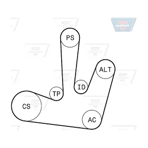 OPTIBELT 6PK1795KT1