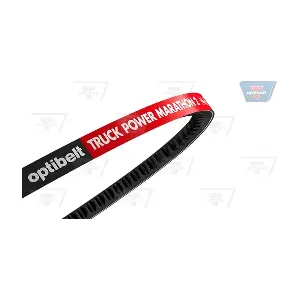 OPTIBELT AVX 13 x 975 TM